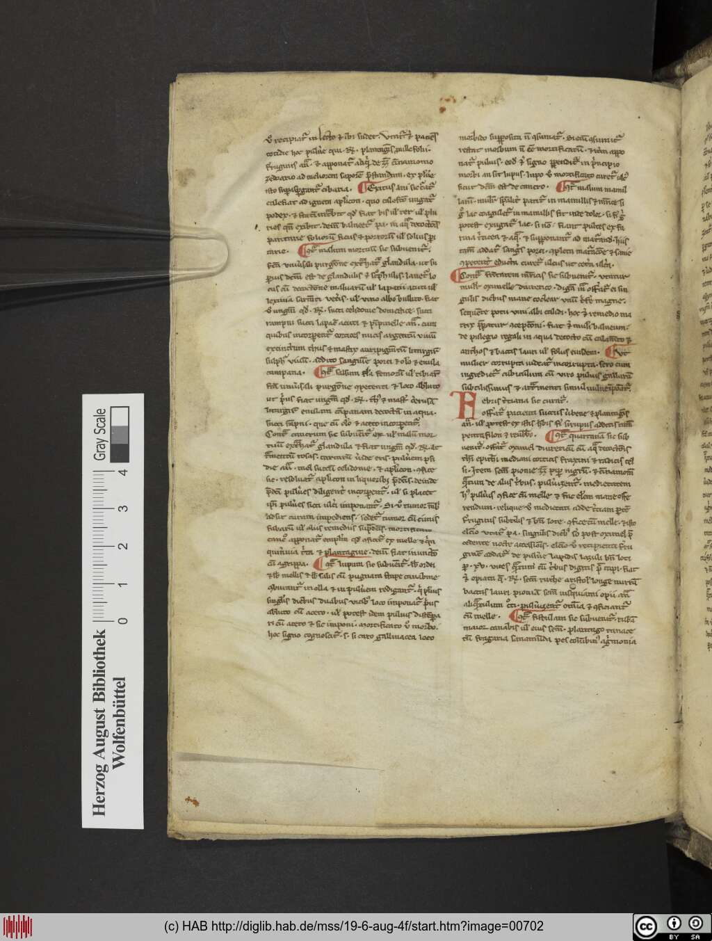 http://diglib.hab.de/mss/19-6-aug-4f/00702.jpg