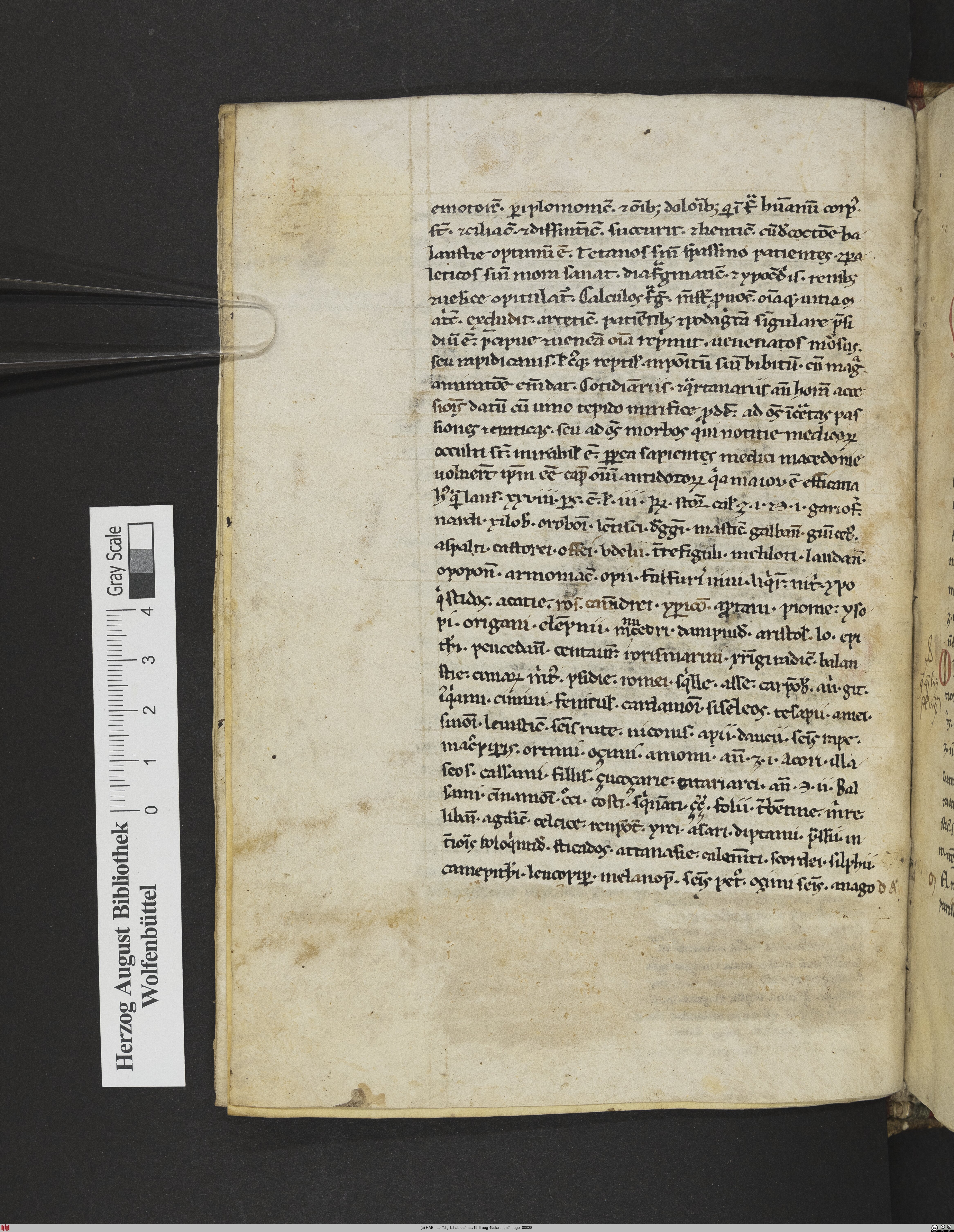 http://diglib.hab.de/mss/19-6-aug-4f/max/00038.jpg