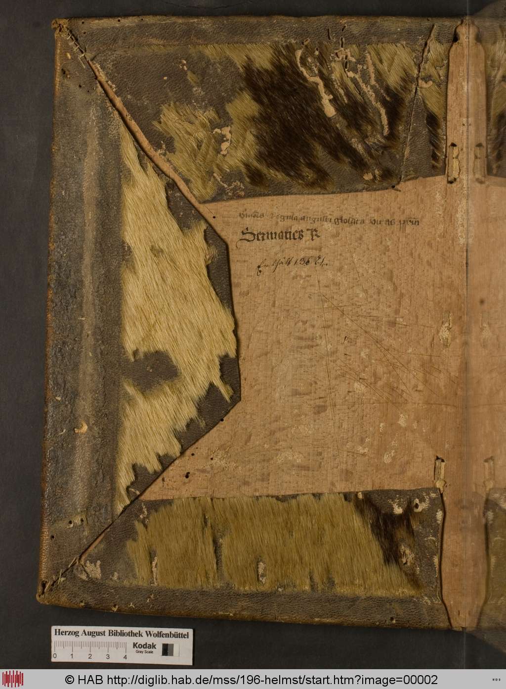 http://diglib.hab.de/mss/196-helmst/00002.jpg