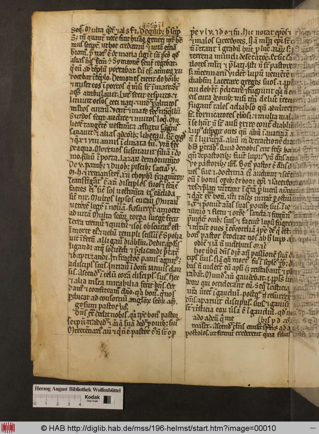 http://diglib.hab.de/mss/196-helmst/00010.jpg