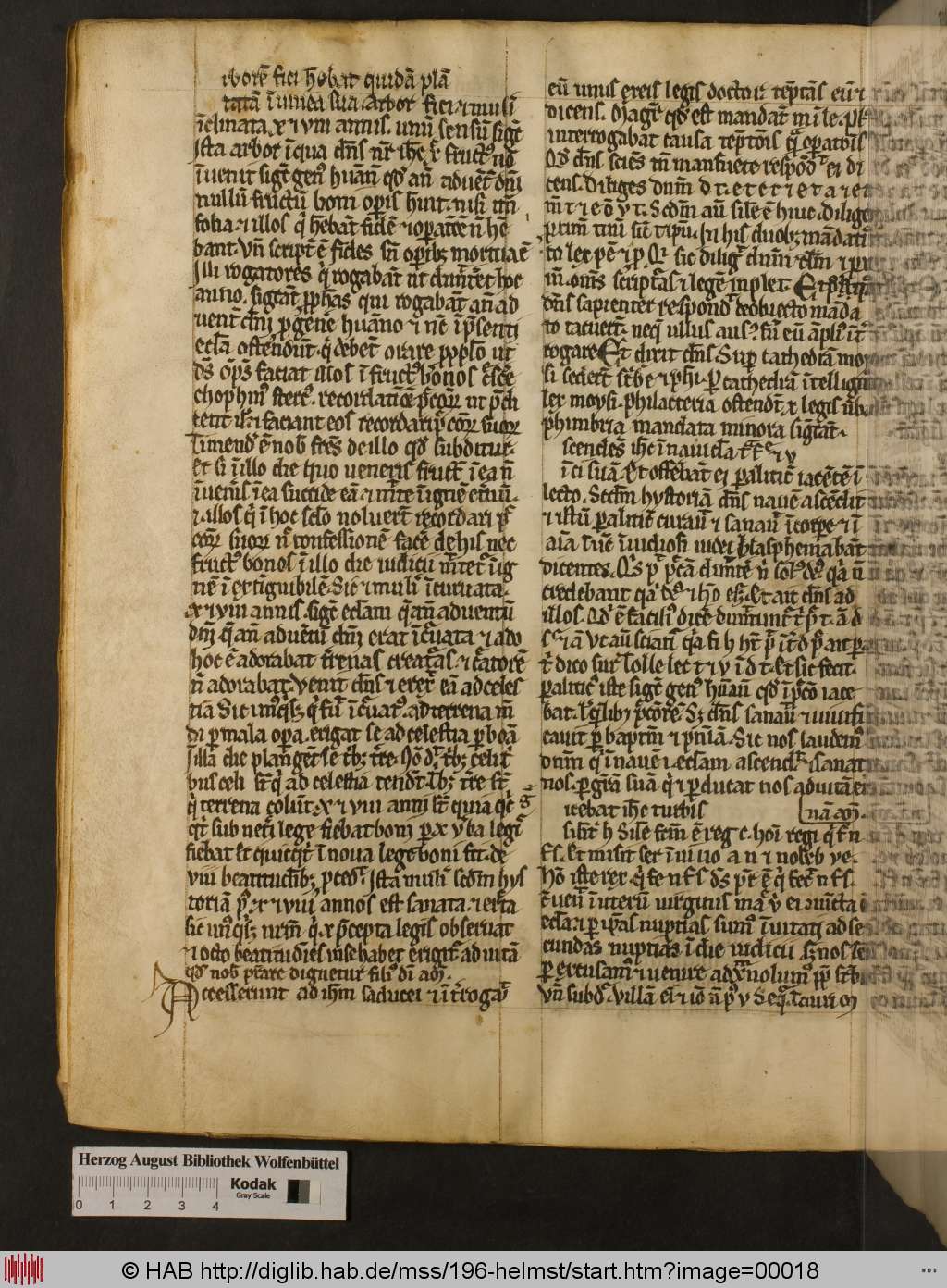 http://diglib.hab.de/mss/196-helmst/00018.jpg