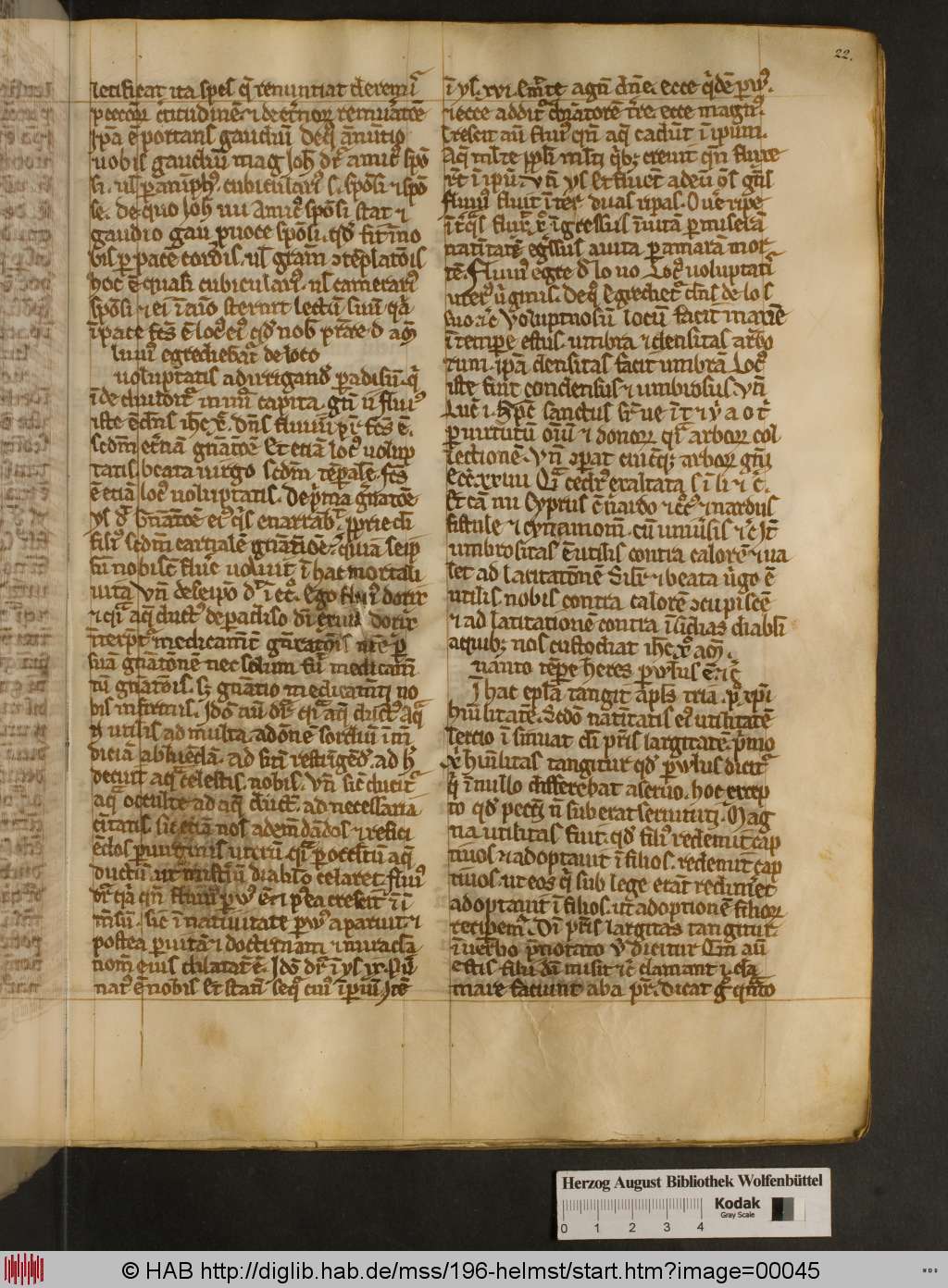 http://diglib.hab.de/mss/196-helmst/00045.jpg