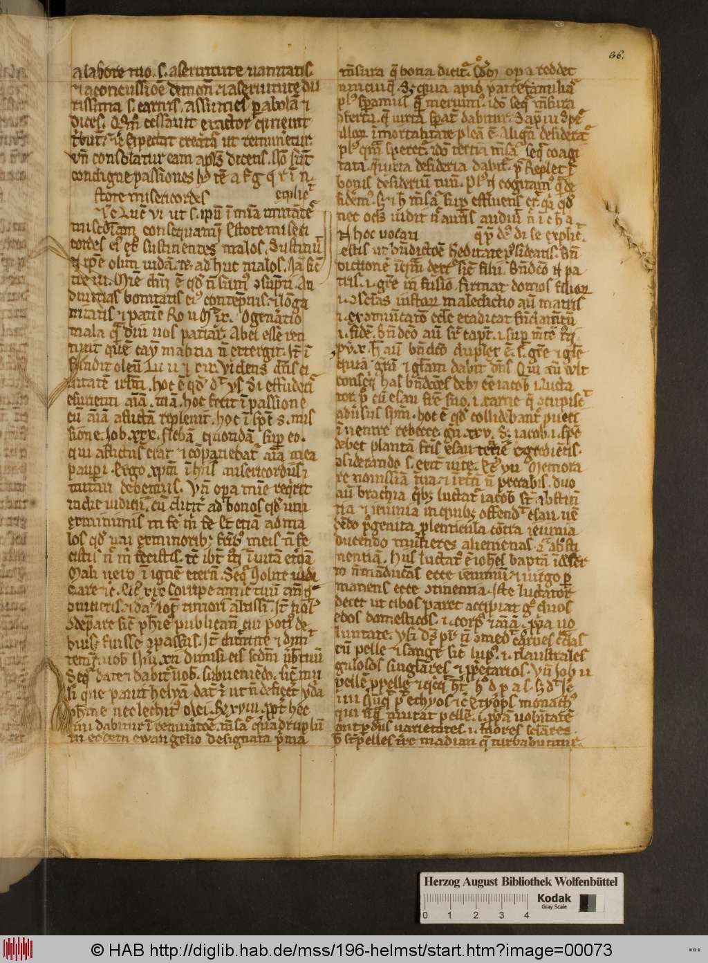 http://diglib.hab.de/mss/196-helmst/00073.jpg