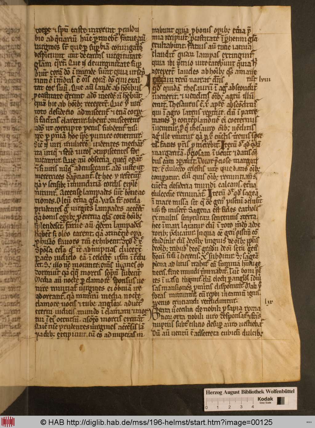 http://diglib.hab.de/mss/196-helmst/00125.jpg