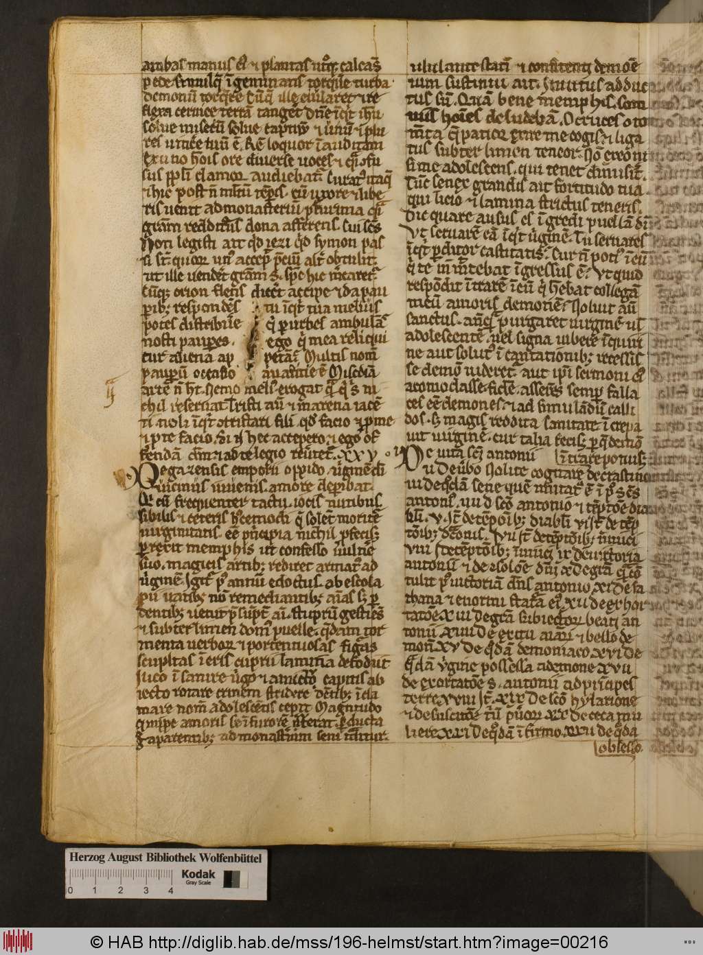 http://diglib.hab.de/mss/196-helmst/00216.jpg