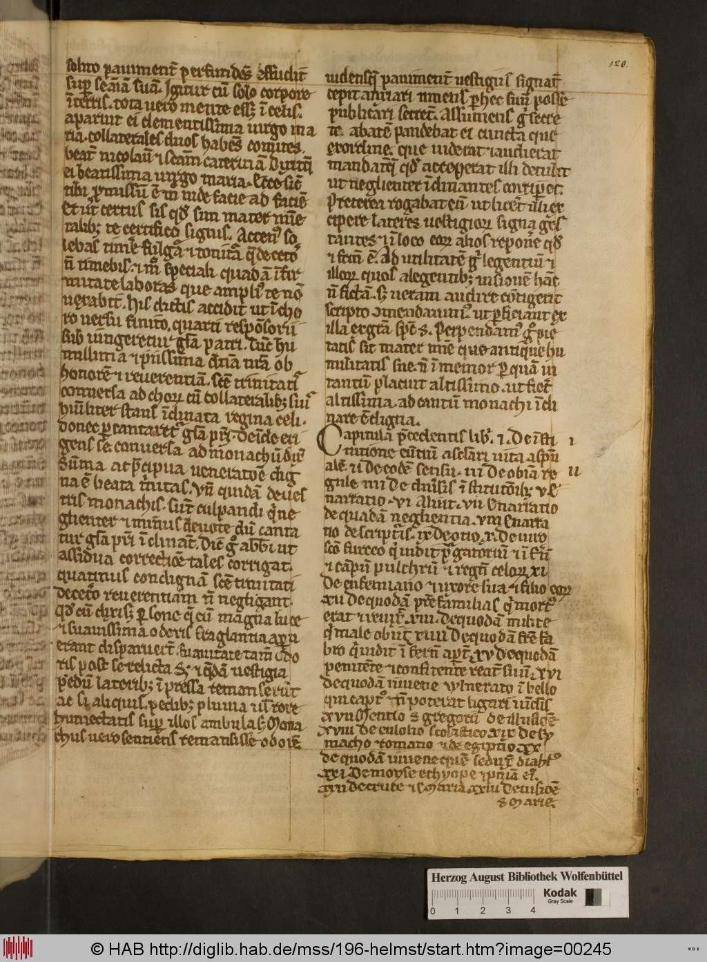 http://diglib.hab.de/mss/196-helmst/00245.jpg