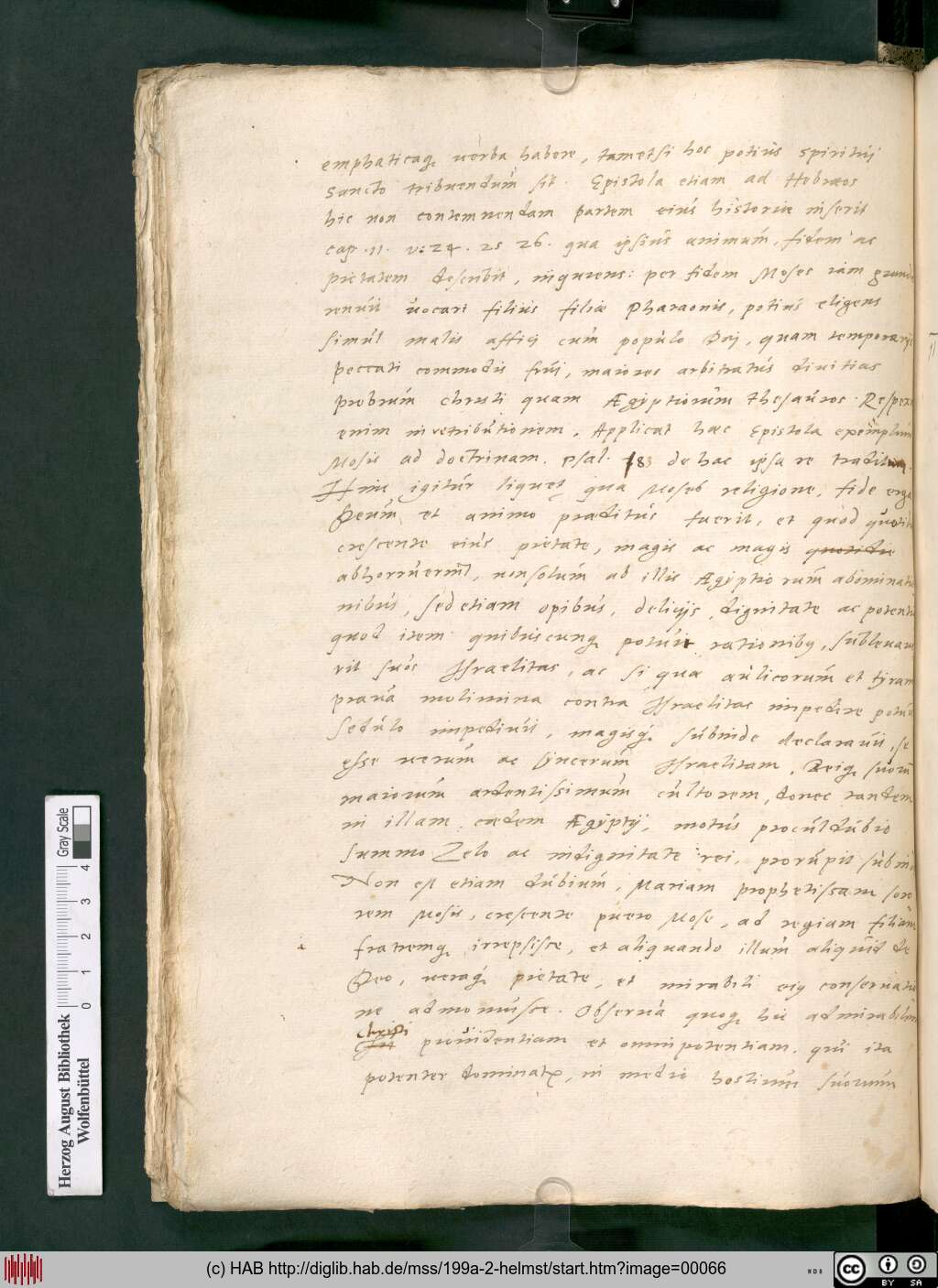 http://diglib.hab.de/mss/199a-2-helmst/00066.jpg