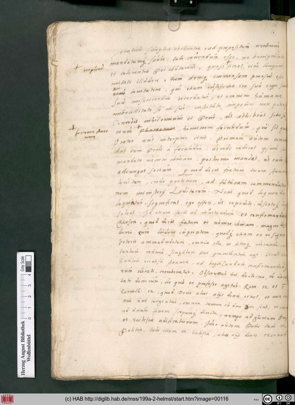 http://diglib.hab.de/mss/199a-2-helmst/00116.jpg