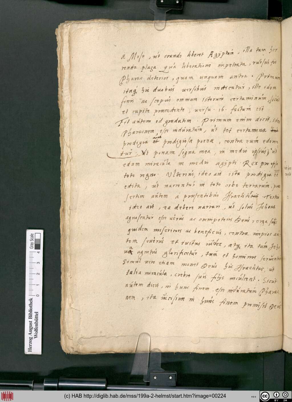 http://diglib.hab.de/mss/199a-2-helmst/00224.jpg