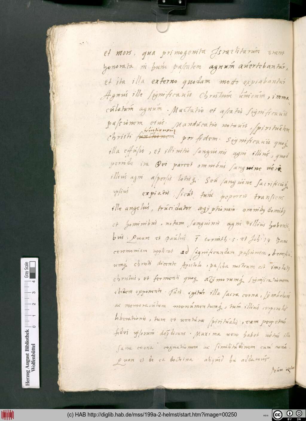 http://diglib.hab.de/mss/199a-2-helmst/00250.jpg