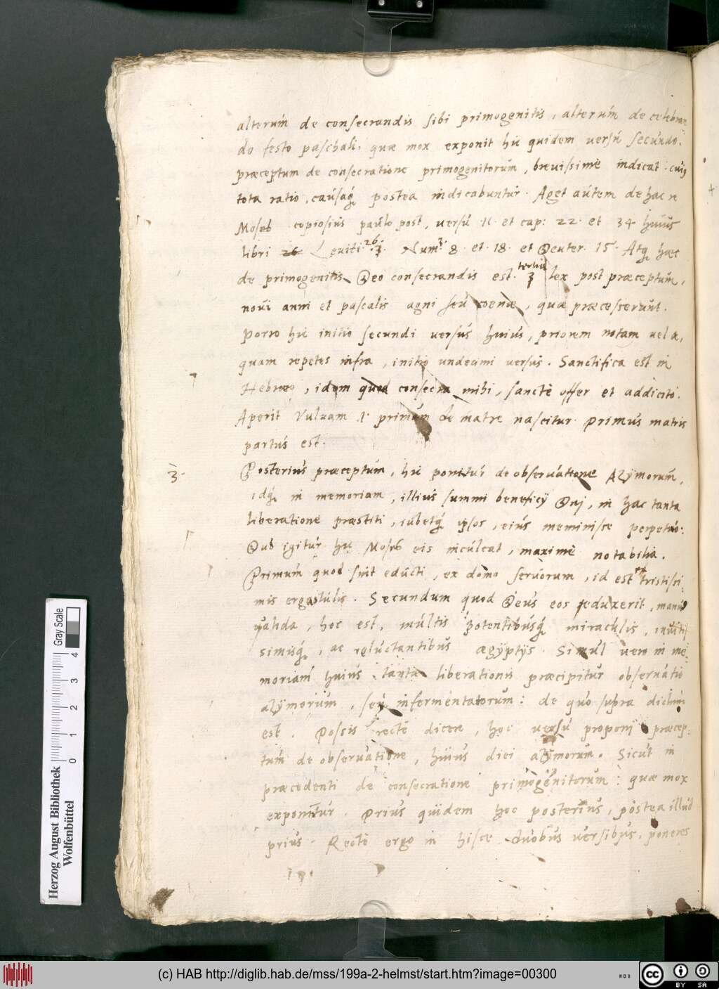 http://diglib.hab.de/mss/199a-2-helmst/00300.jpg