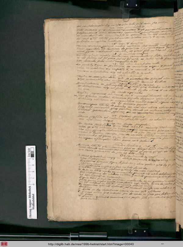 http://diglib.hab.de/mss/199b-helmst/min/00040.jpg