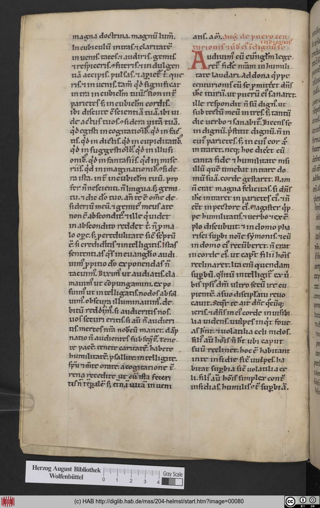 http://diglib.hab.de/mss/204-helmst/00080.jpg