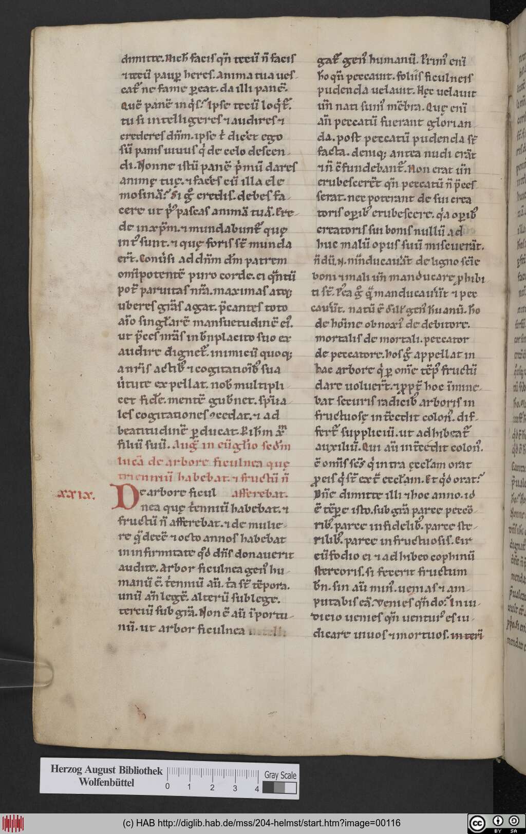 http://diglib.hab.de/mss/204-helmst/00116.jpg