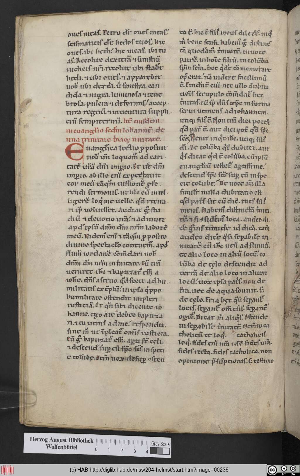 http://diglib.hab.de/mss/204-helmst/00236.jpg