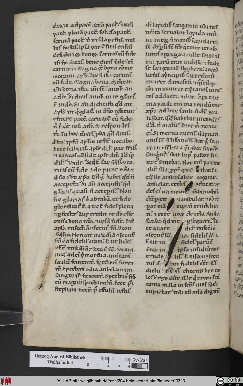 http://diglib.hab.de/mss/204-helmst/00310.jpg