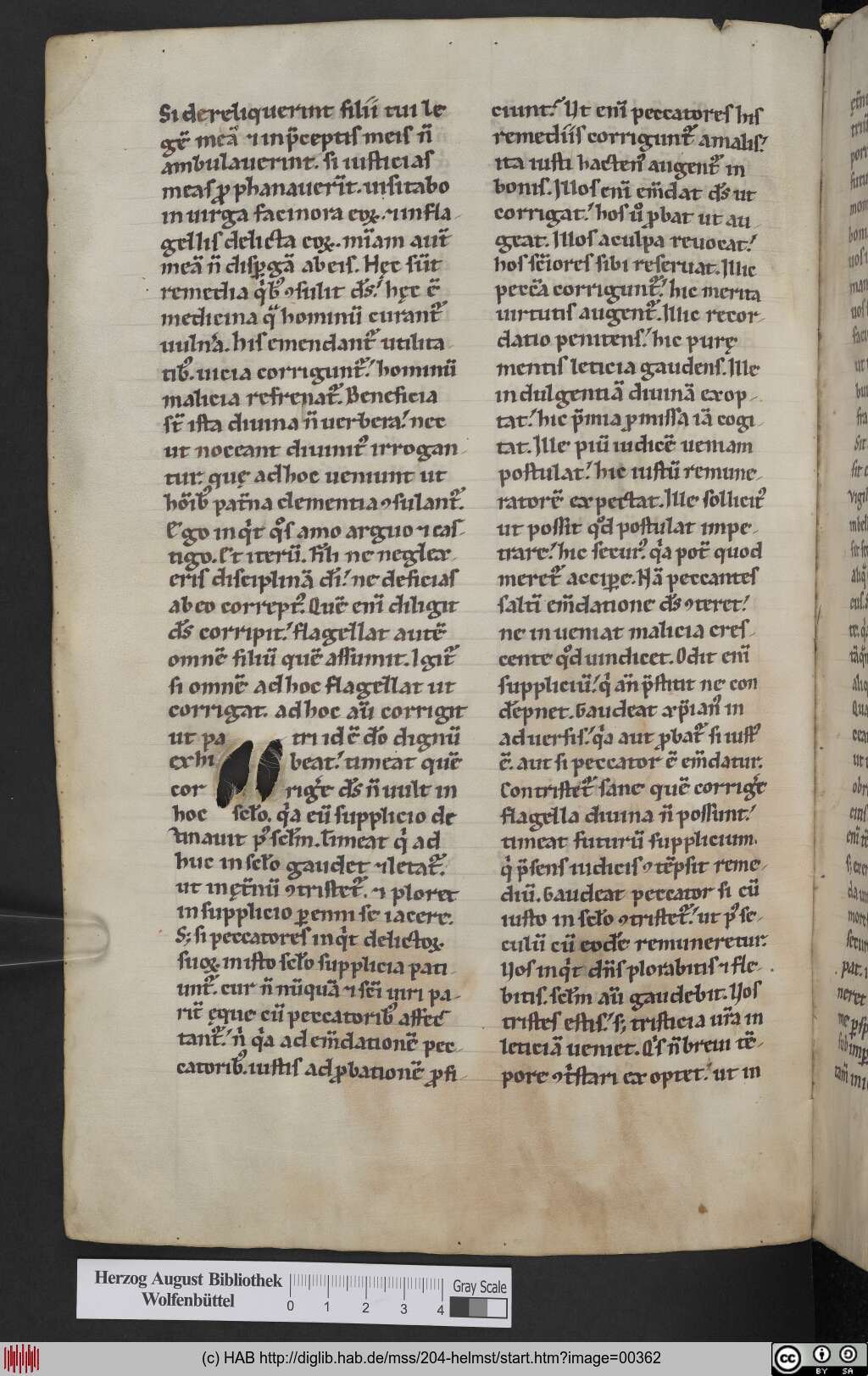 http://diglib.hab.de/mss/204-helmst/00362.jpg