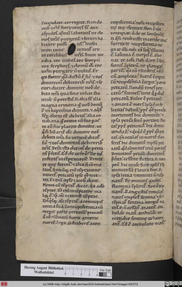 http://diglib.hab.de/mss/204-helmst/min/00372.jpg