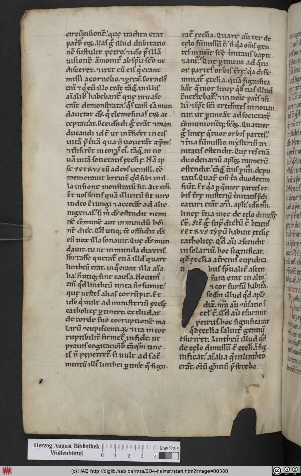 http://diglib.hab.de/mss/204-helmst/min/00380.jpg