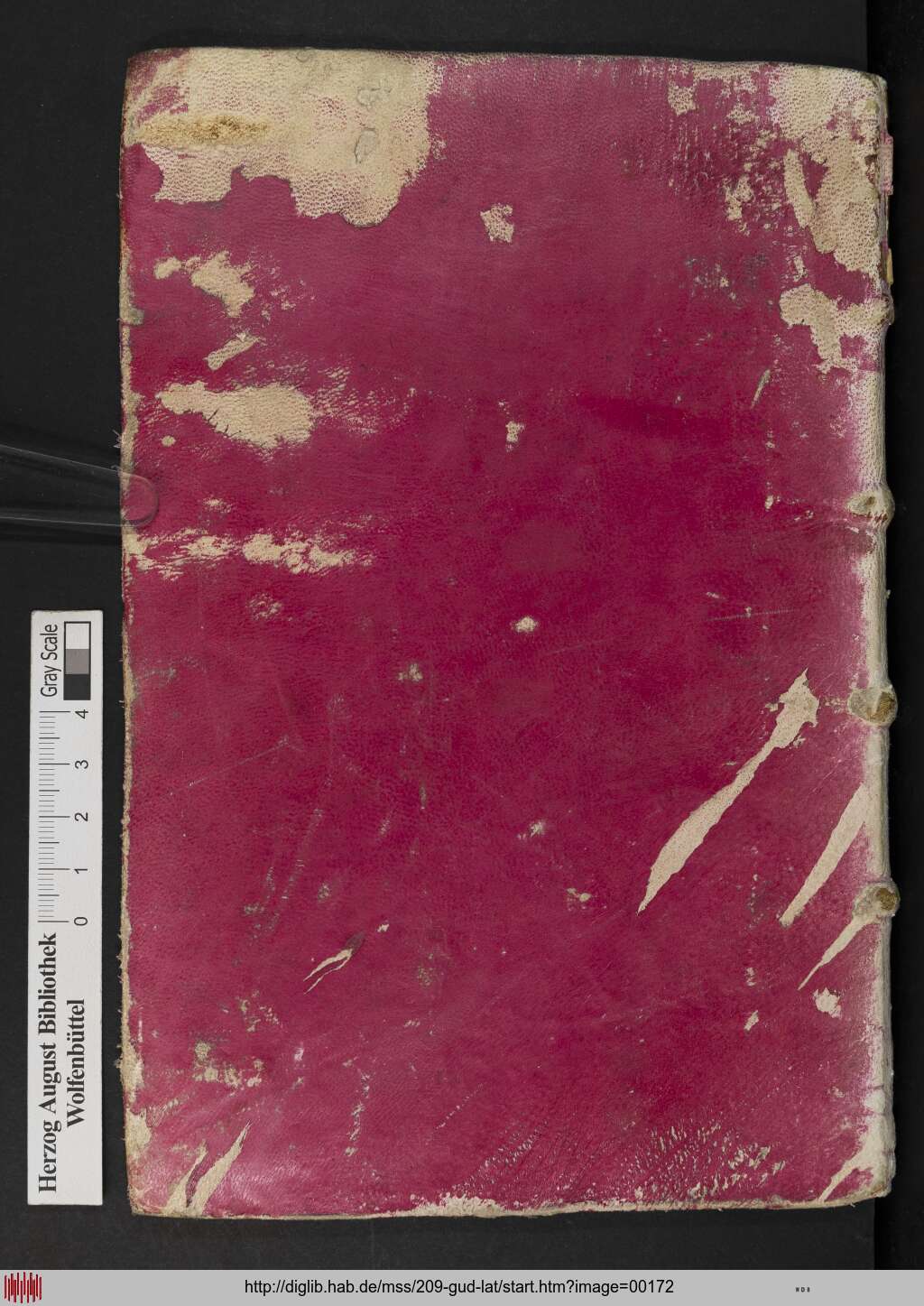 http://diglib.hab.de/mss/209-gud-lat/00172.jpg