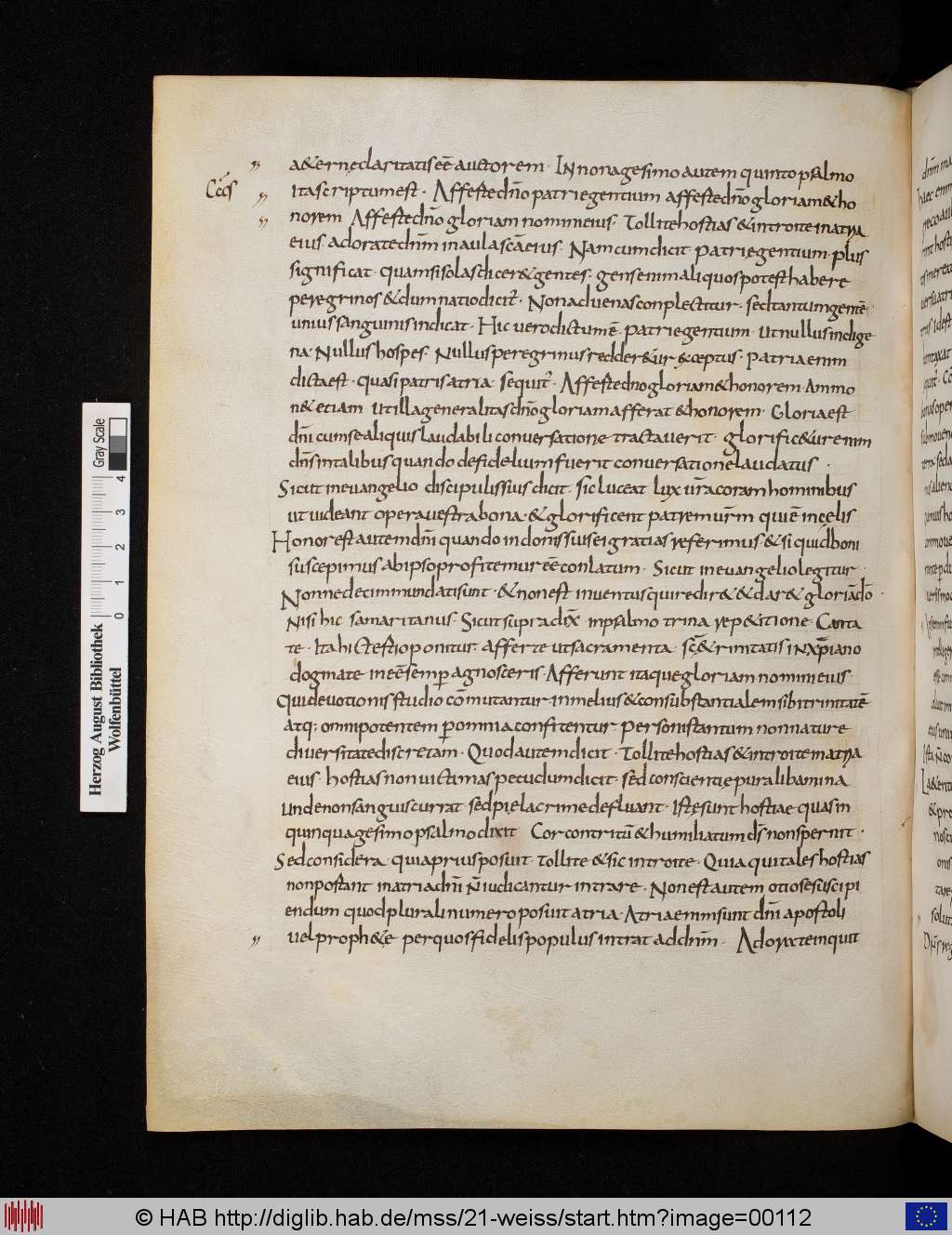http://diglib.hab.de/mss/21-weiss/00112.jpg