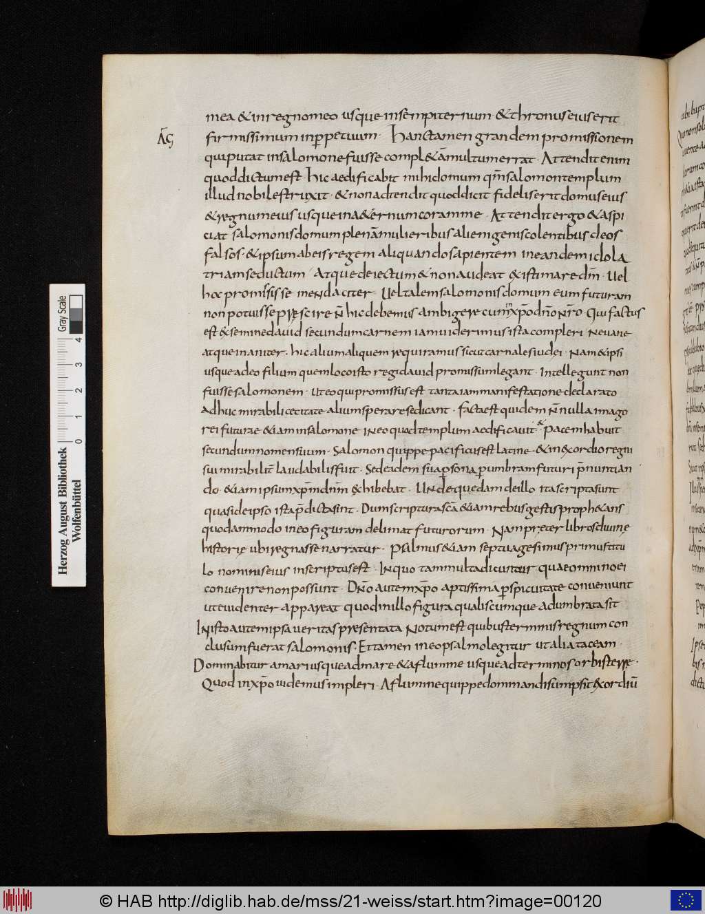 http://diglib.hab.de/mss/21-weiss/00120.jpg