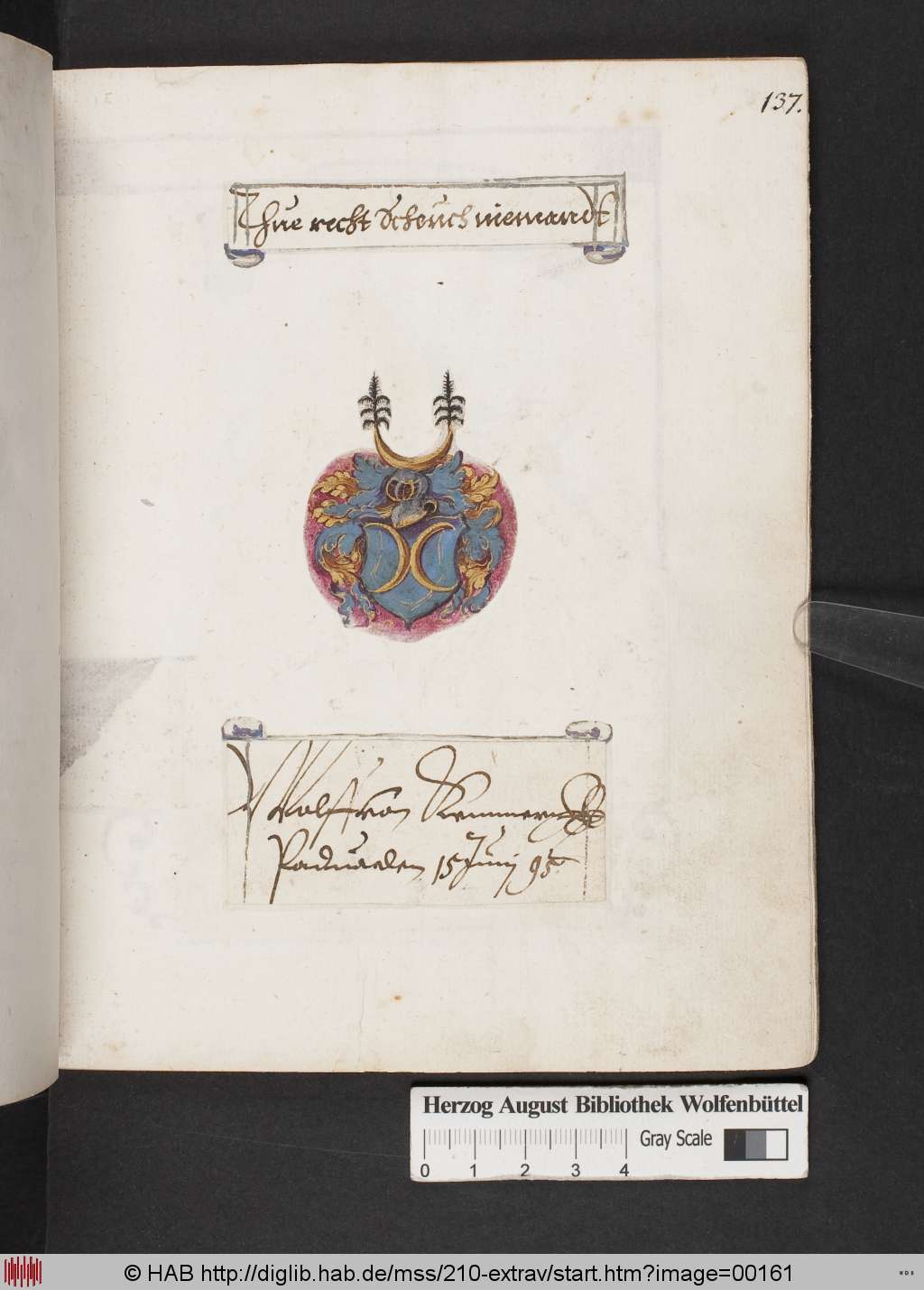 http://diglib.hab.de/mss/210-extrav/00161.jpg