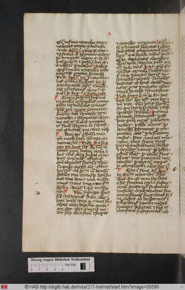 http://diglib.hab.de/mss/217-helmst/min/00596.jpg