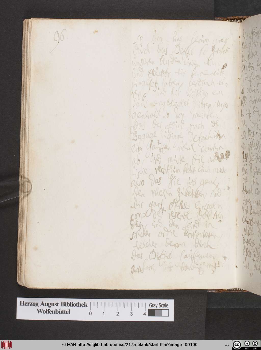 http://diglib.hab.de/mss/217a-blank/00100.jpg