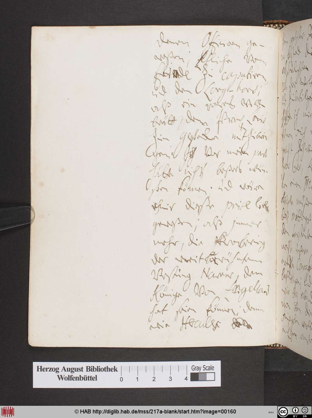 http://diglib.hab.de/mss/217a-blank/00160.jpg