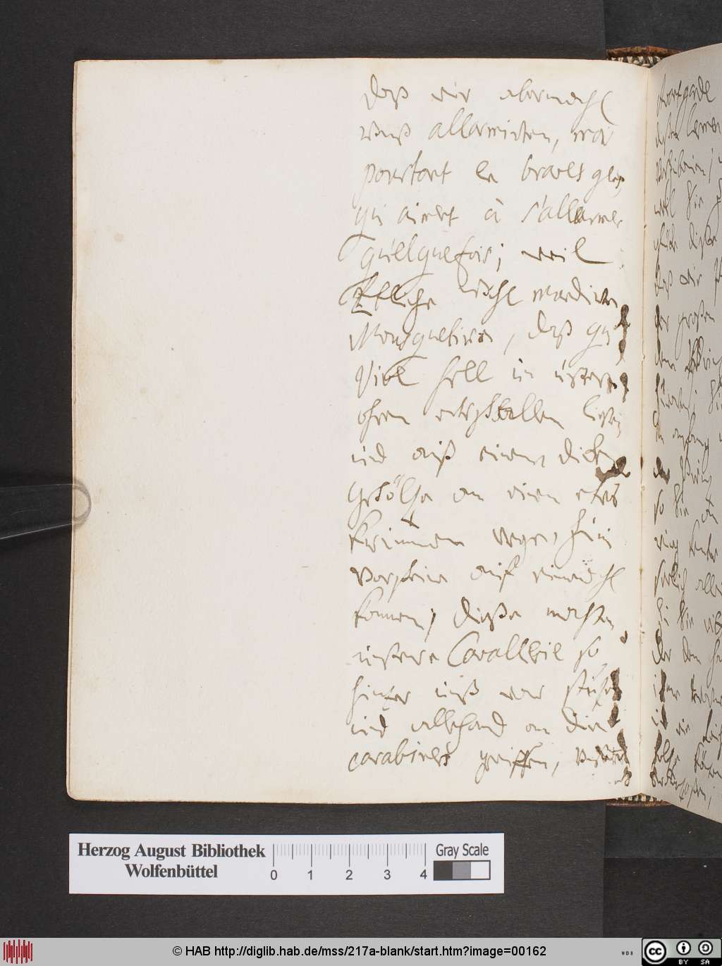 http://diglib.hab.de/mss/217a-blank/00162.jpg