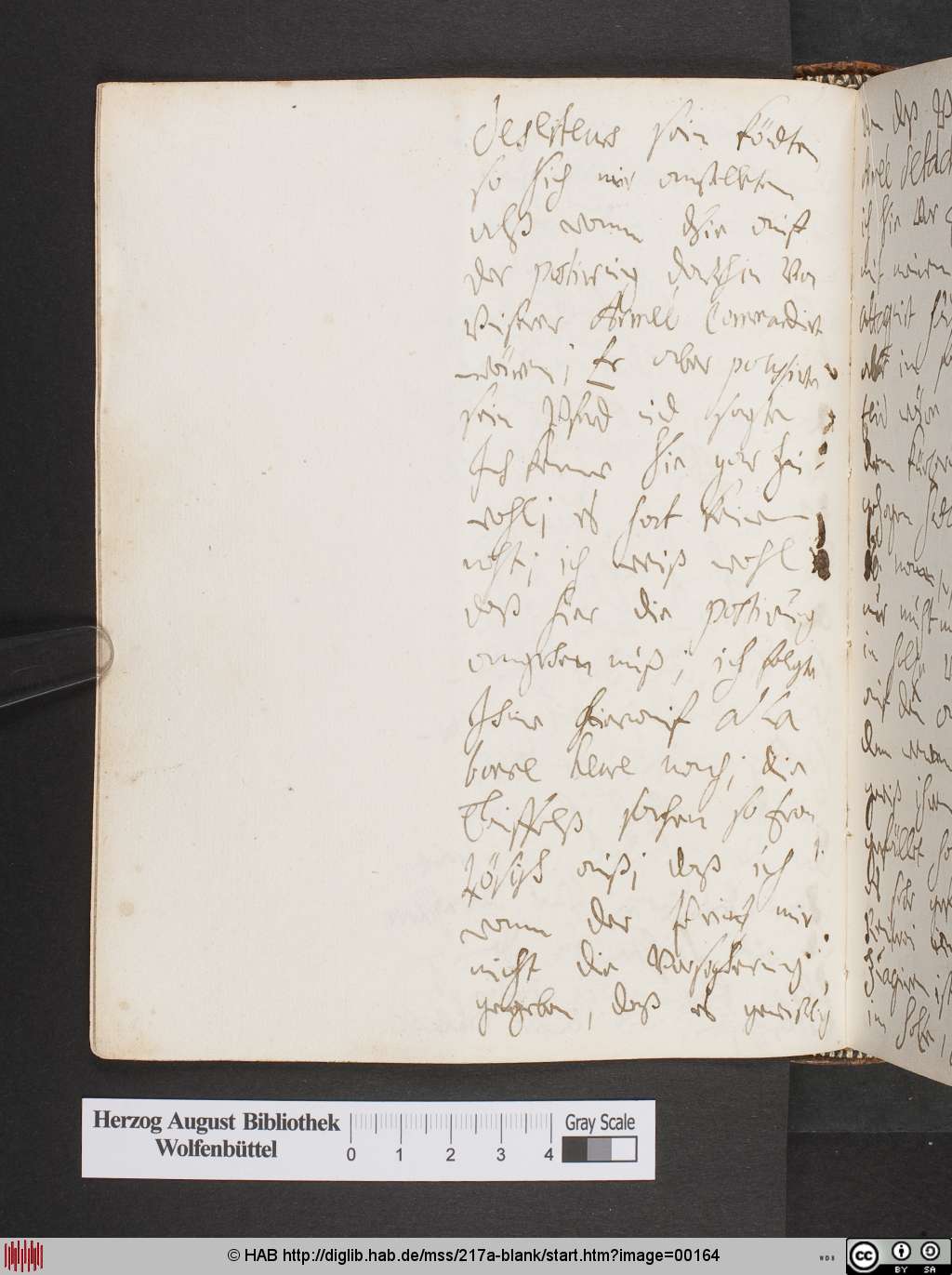 http://diglib.hab.de/mss/217a-blank/00164.jpg