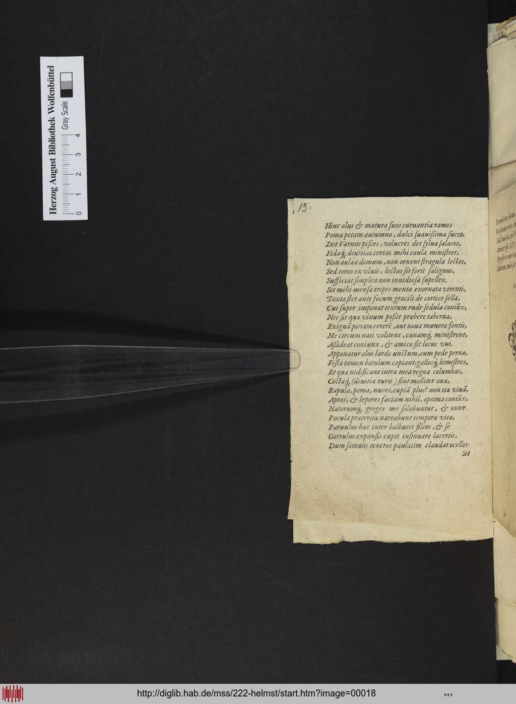 http://diglib.hab.de/mss/222-helmst/00018.jpg