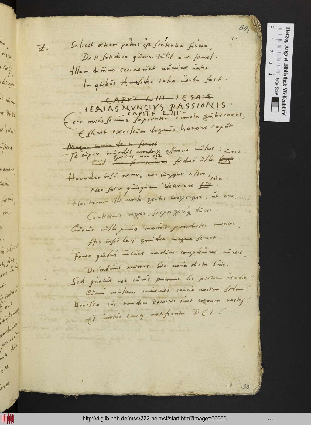 http://diglib.hab.de/mss/222-helmst/00065.jpg