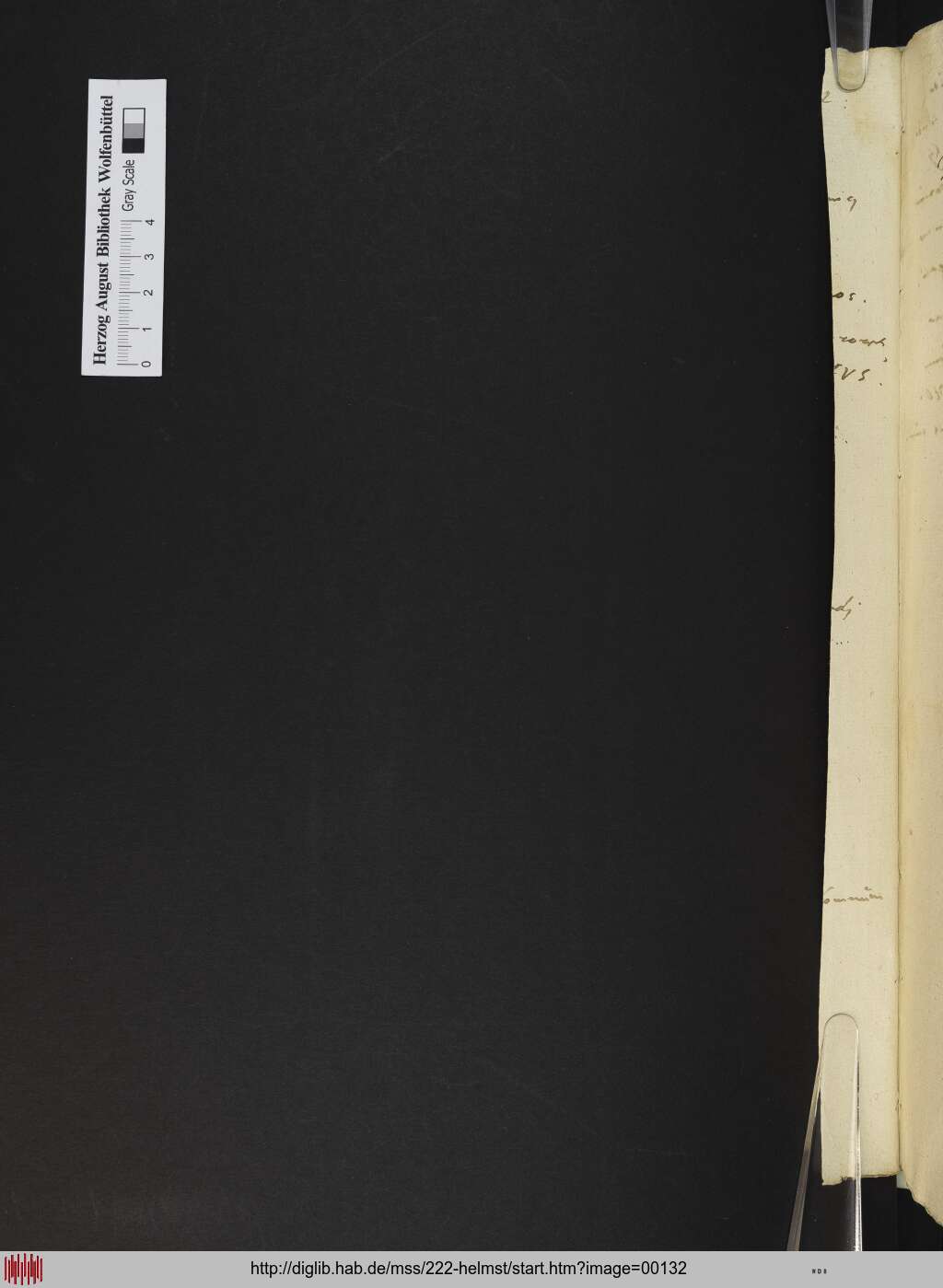 http://diglib.hab.de/mss/222-helmst/00132.jpg