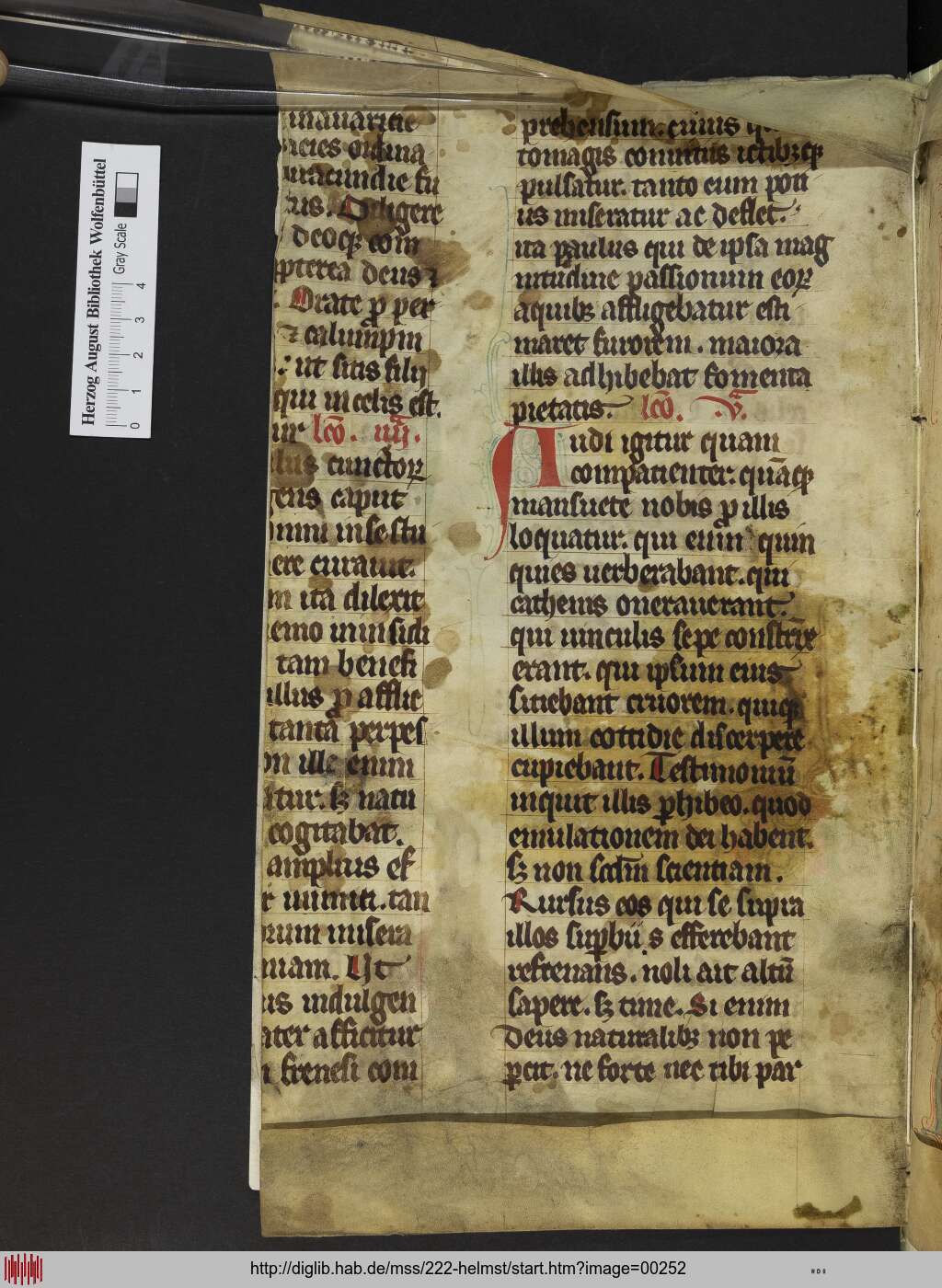 http://diglib.hab.de/mss/222-helmst/00252.jpg
