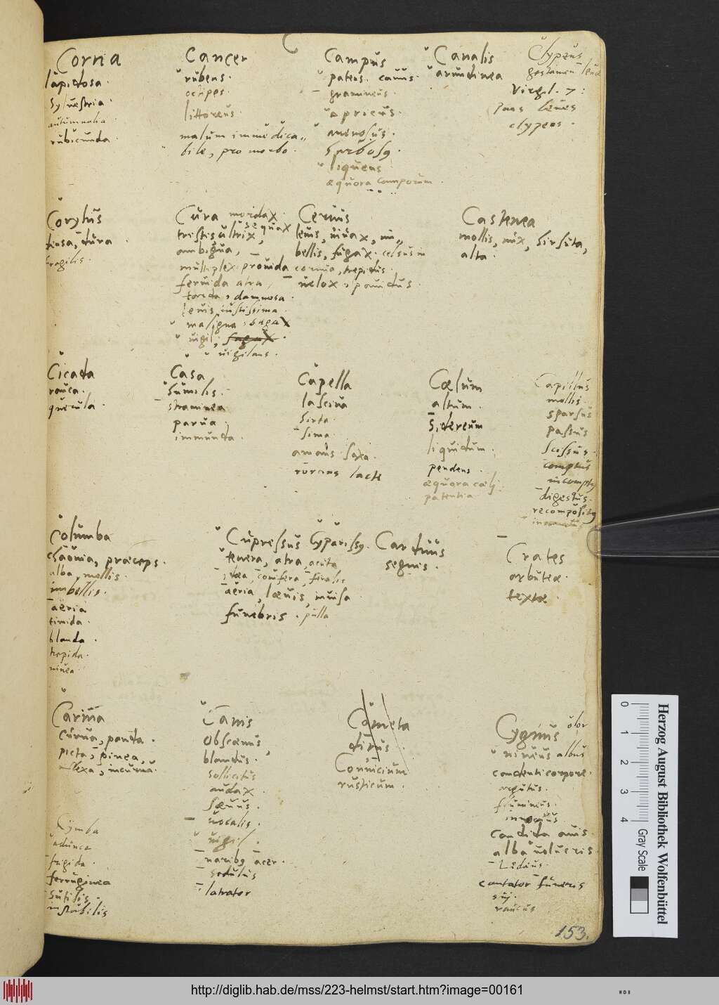 http://diglib.hab.de/mss/223-helmst/00161.jpg
