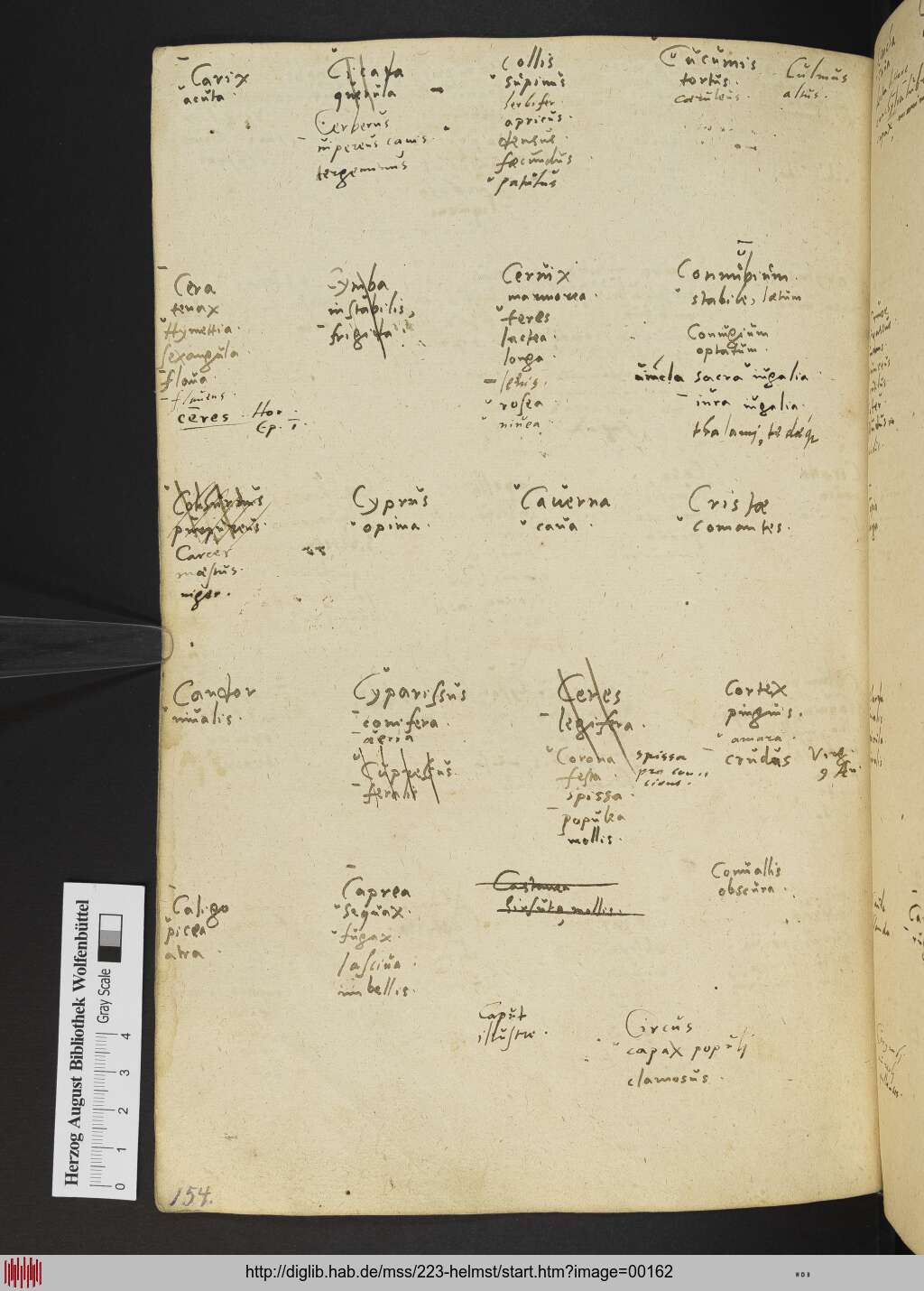 http://diglib.hab.de/mss/223-helmst/00162.jpg