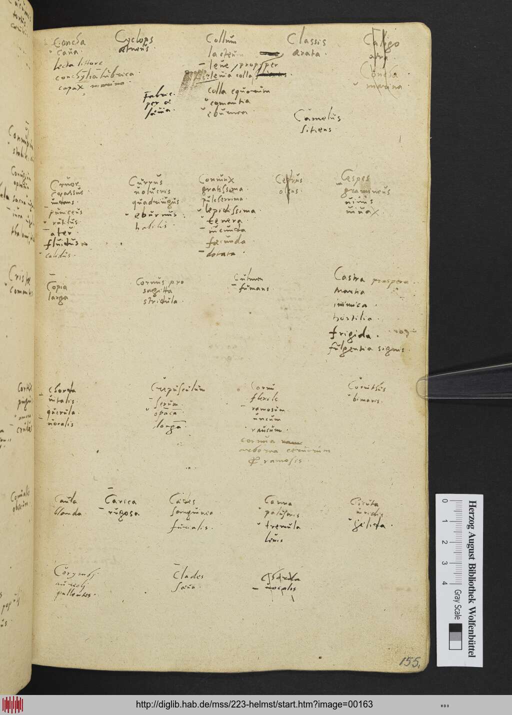 http://diglib.hab.de/mss/223-helmst/00163.jpg