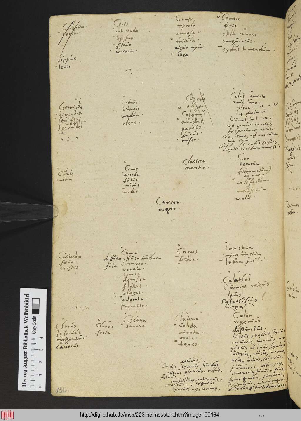 http://diglib.hab.de/mss/223-helmst/00164.jpg