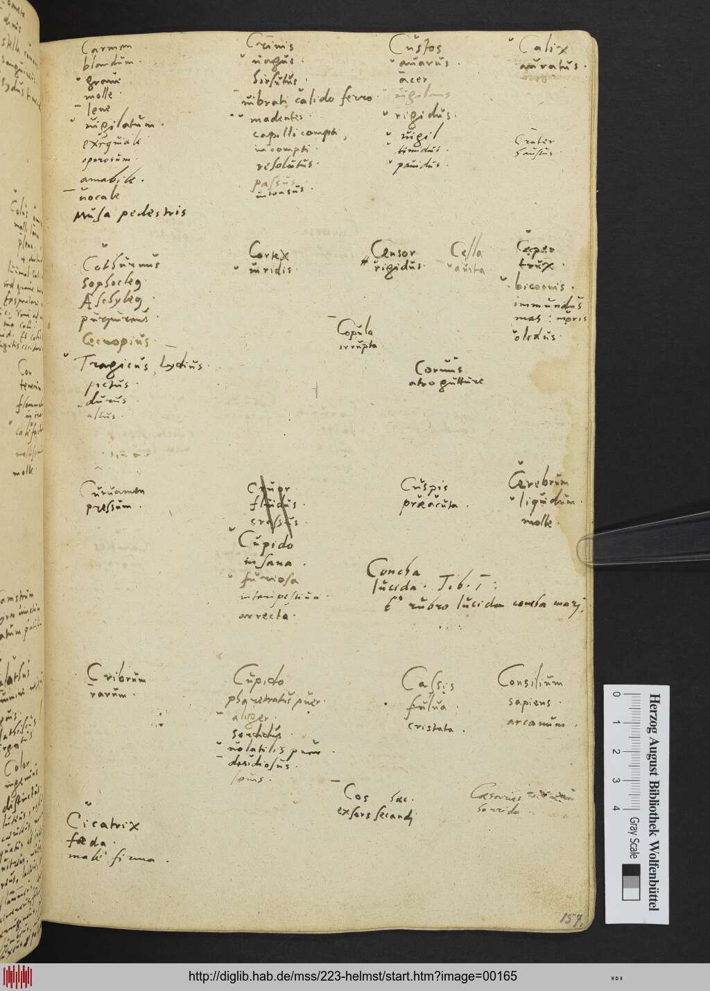 http://diglib.hab.de/mss/223-helmst/00165.jpg