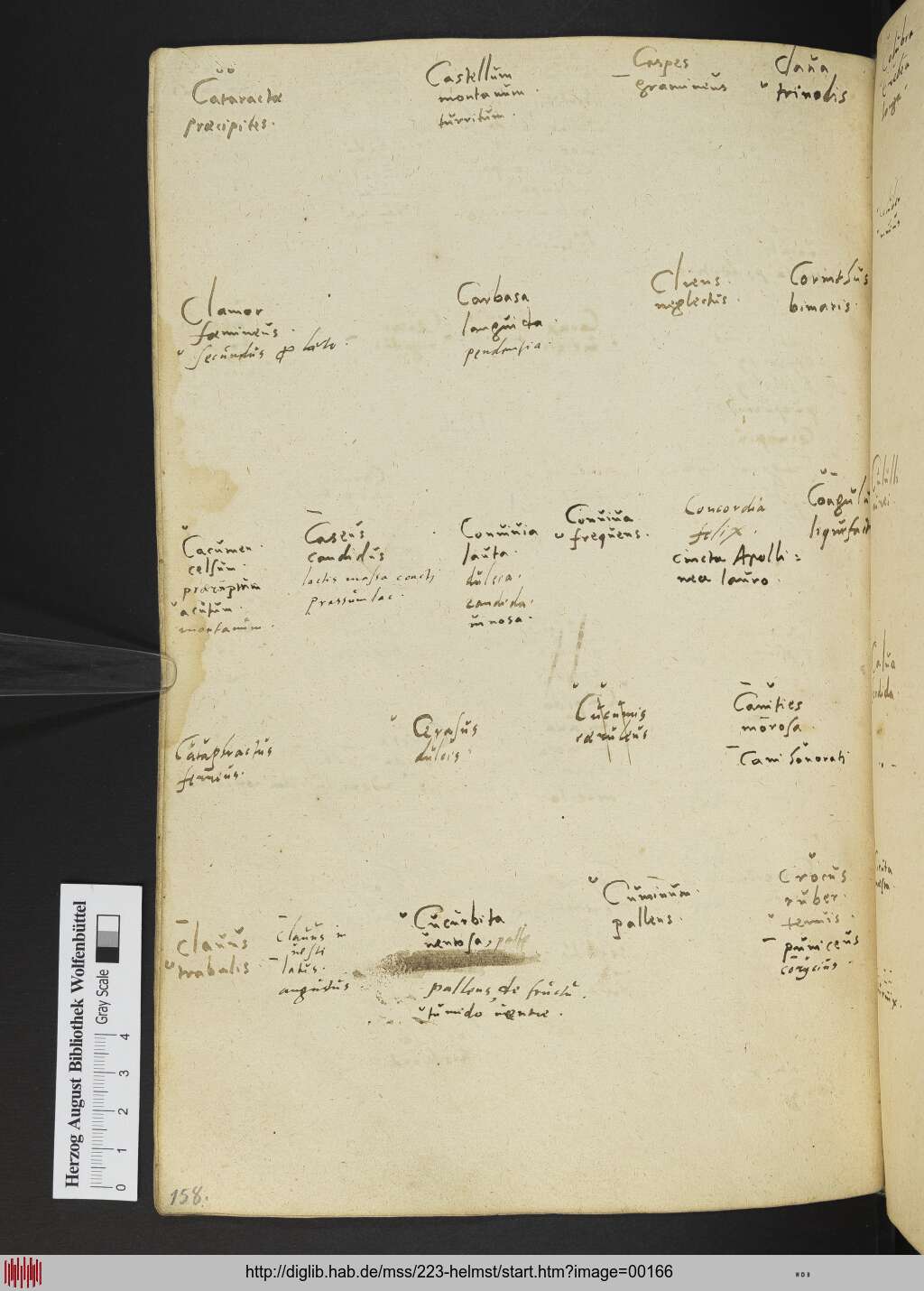 http://diglib.hab.de/mss/223-helmst/00166.jpg