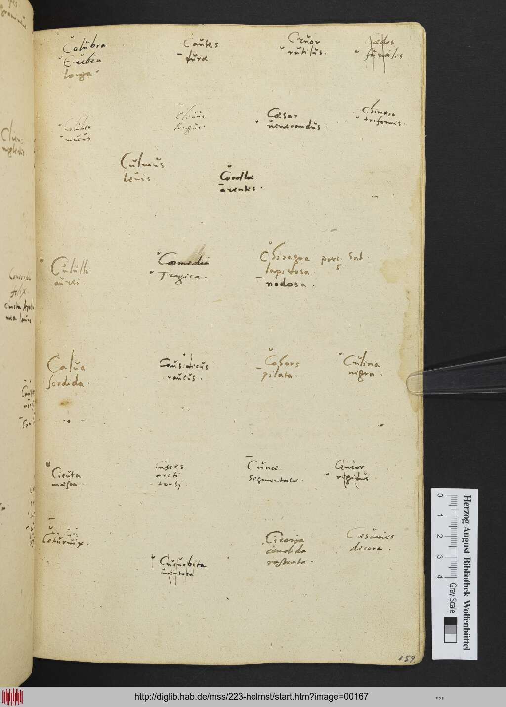 http://diglib.hab.de/mss/223-helmst/00167.jpg
