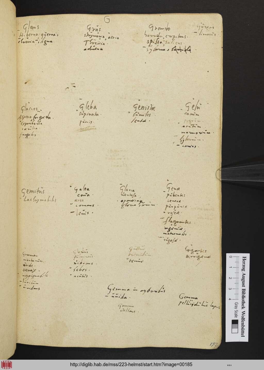 http://diglib.hab.de/mss/223-helmst/00185.jpg