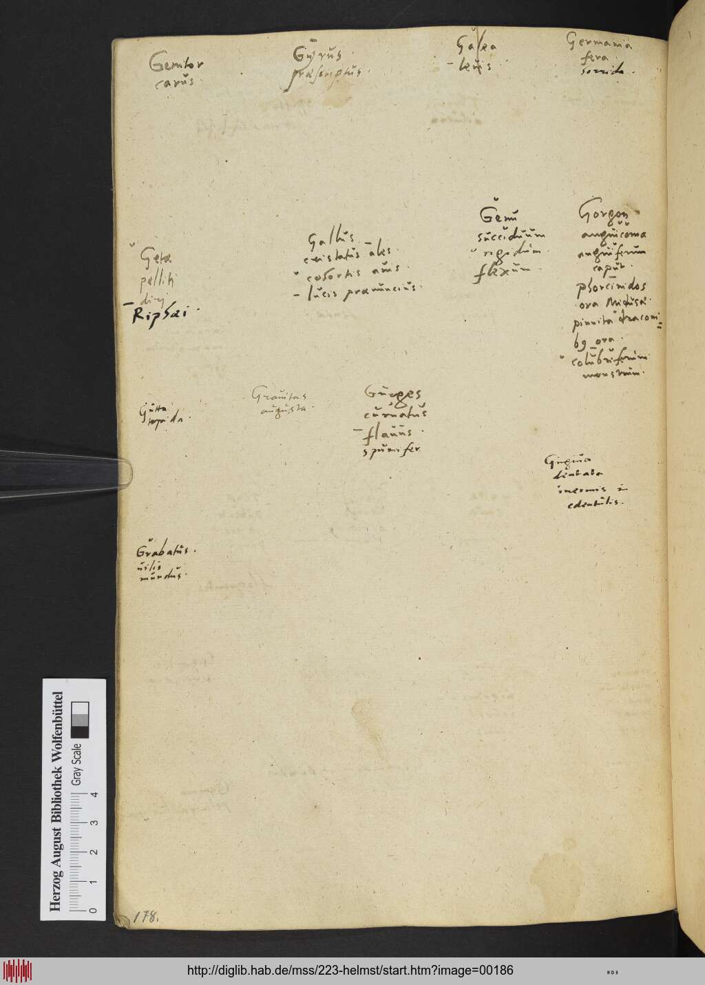 http://diglib.hab.de/mss/223-helmst/00186.jpg