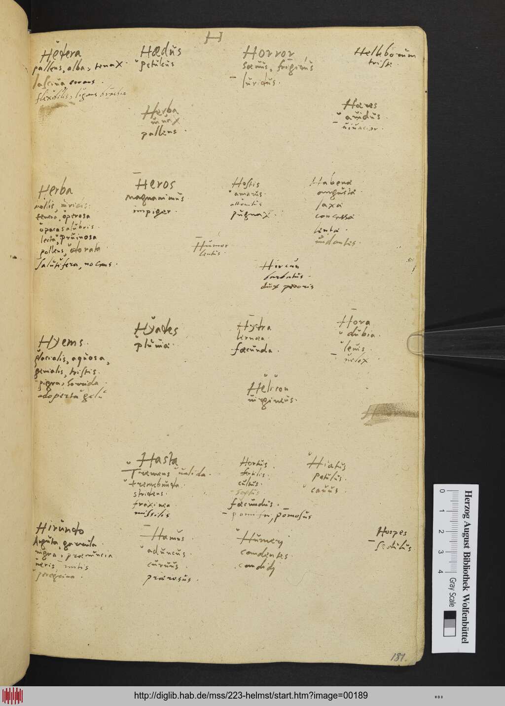 http://diglib.hab.de/mss/223-helmst/00189.jpg