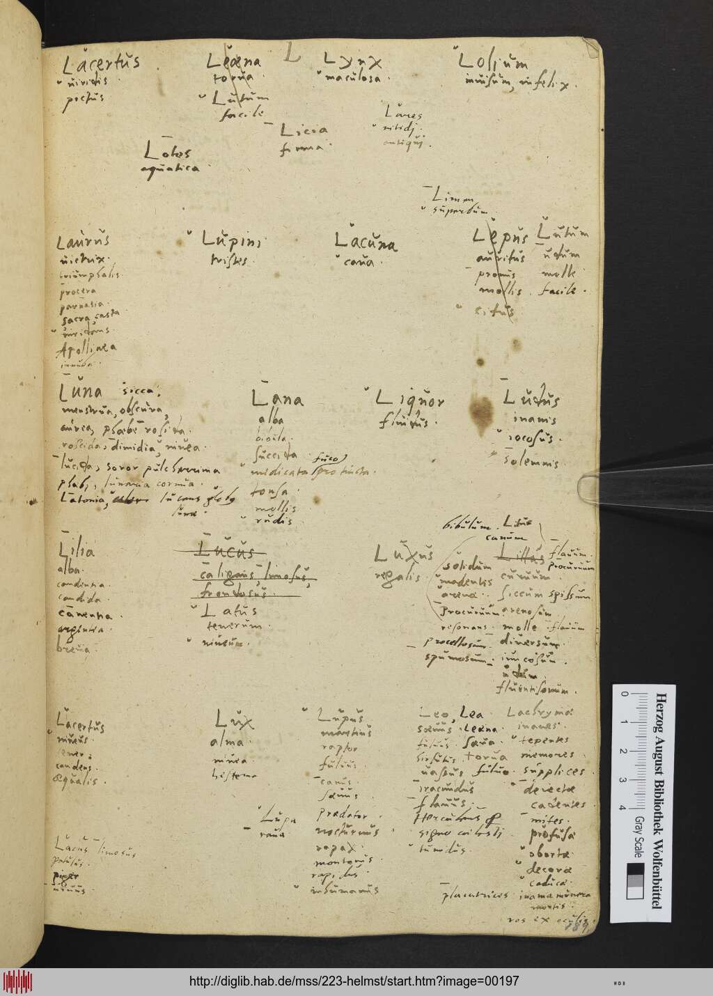 http://diglib.hab.de/mss/223-helmst/00197.jpg