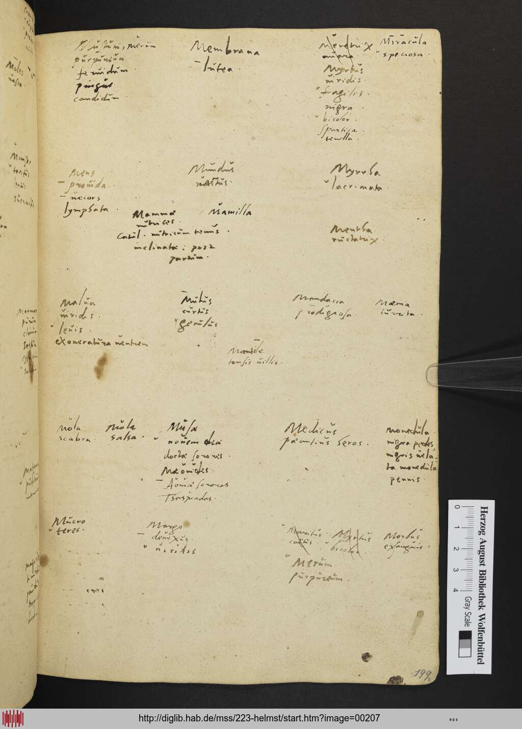 http://diglib.hab.de/mss/223-helmst/00207.jpg