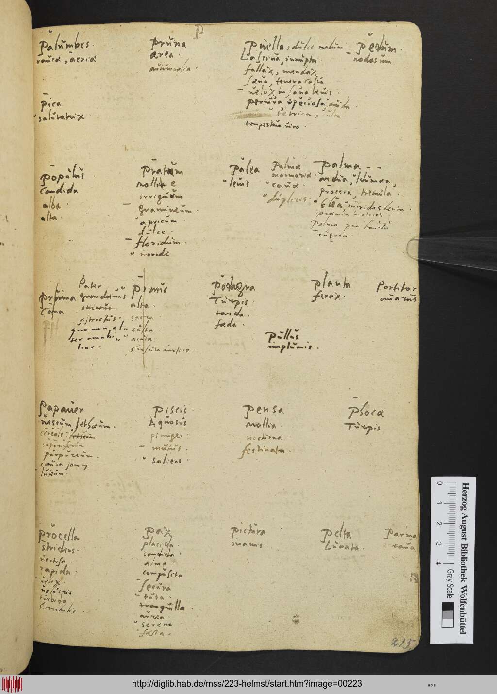 http://diglib.hab.de/mss/223-helmst/00223.jpg