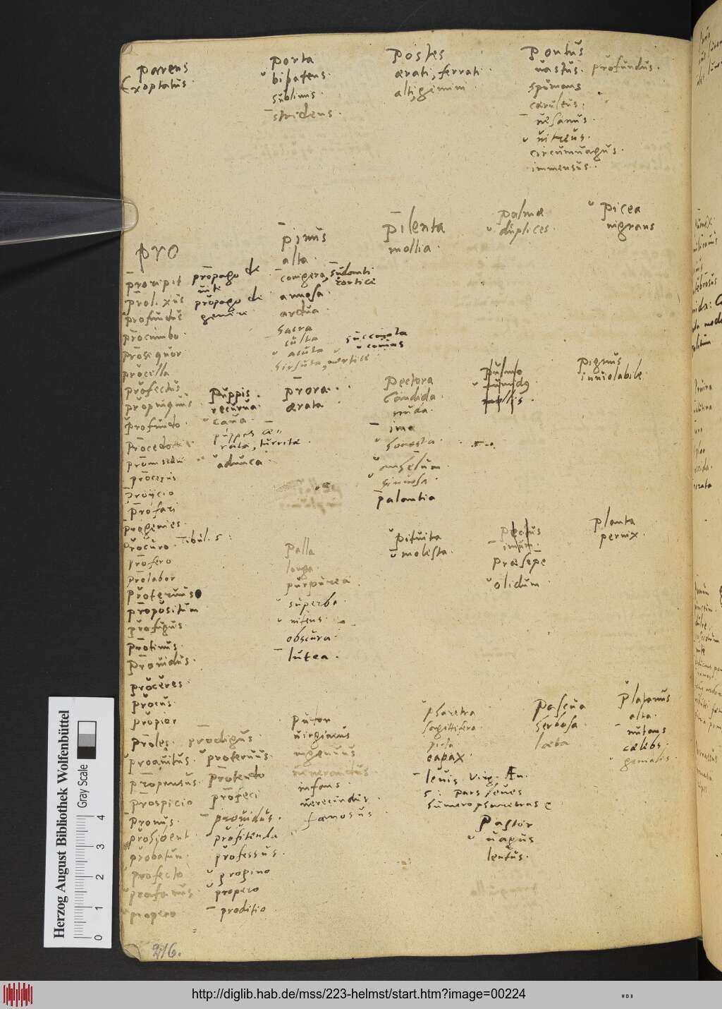 http://diglib.hab.de/mss/223-helmst/00224.jpg